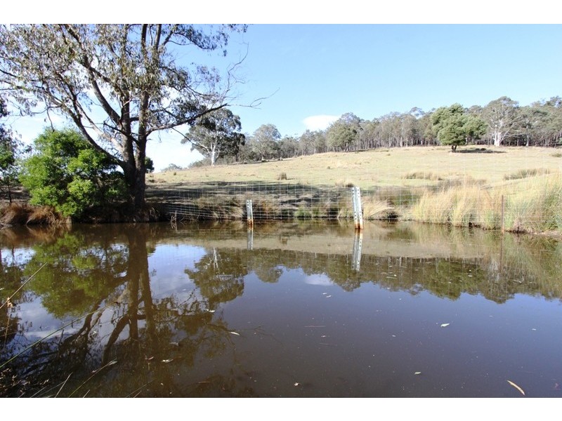 5345 Dargo Road, Dargo VIC 3862