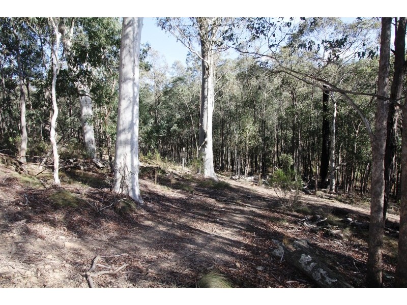 5345 Dargo Road, Dargo VIC 3862