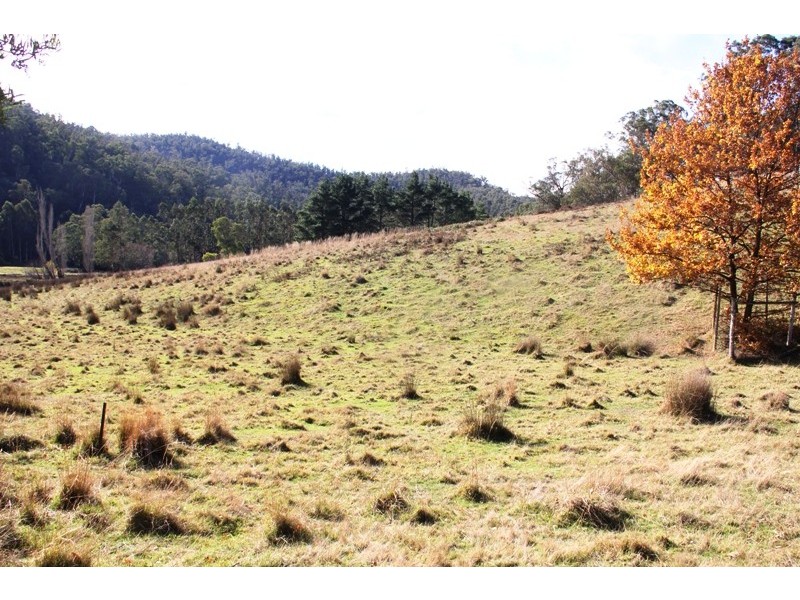 5345 Dargo Road, Dargo VIC 3862