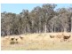 5345 Dargo Road, Dargo VIC 3862