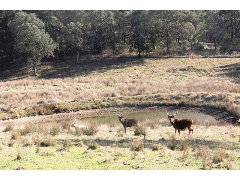 5345 Dargo Road, Dargo VIC 3862