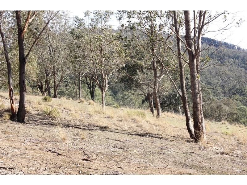 5345 Dargo Road, Dargo VIC 3862