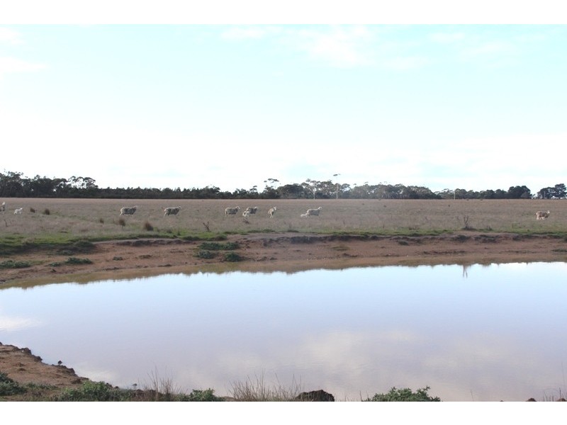 8 Seaspray Stradbroke Road, Seaspray VIC 3851
