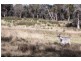 368 Back Wombat Road, Valencia Creek VIC 3860