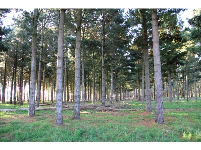 Cnr Sharefarm Road, Clydebank VIC 3851