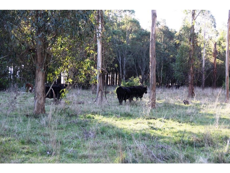 Cnr Sharefarm Road, Clydebank VIC 3851