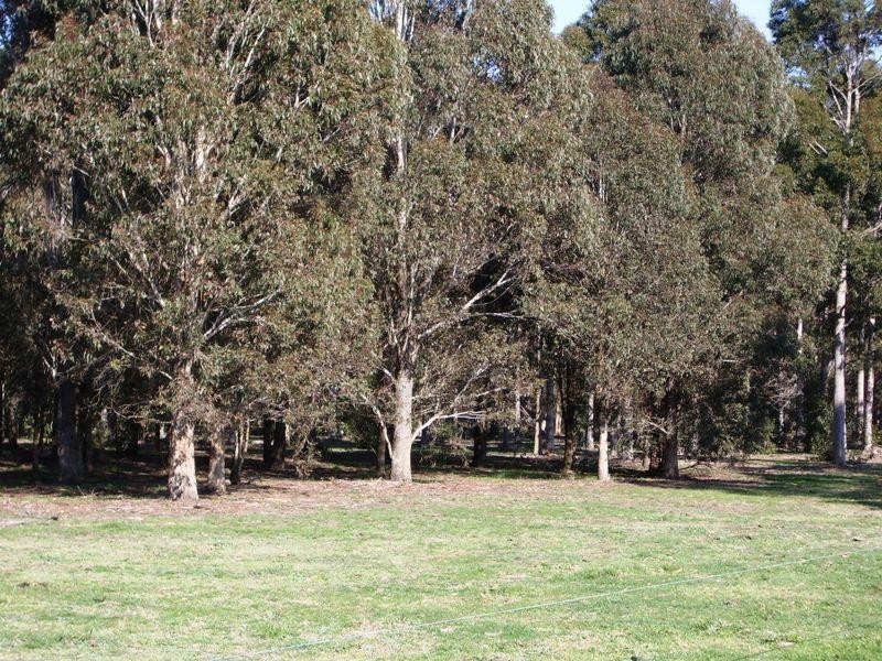 Cnr Sharefarm Road, Clydebank VIC 3851