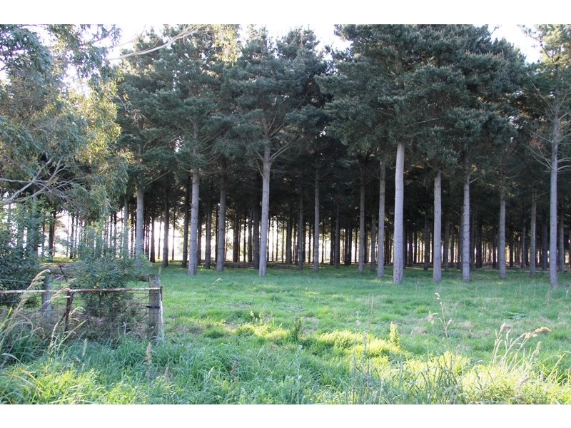 Cnr Sharefarm Road, Clydebank VIC 3851