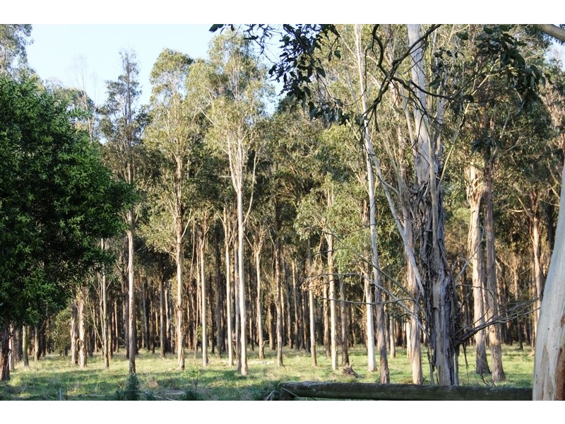 Cnr Sharefarm Road, Clydebank VIC 3851