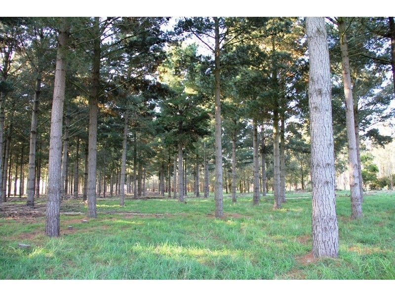 Cnr Sharefarm Road, Clydebank VIC 3851