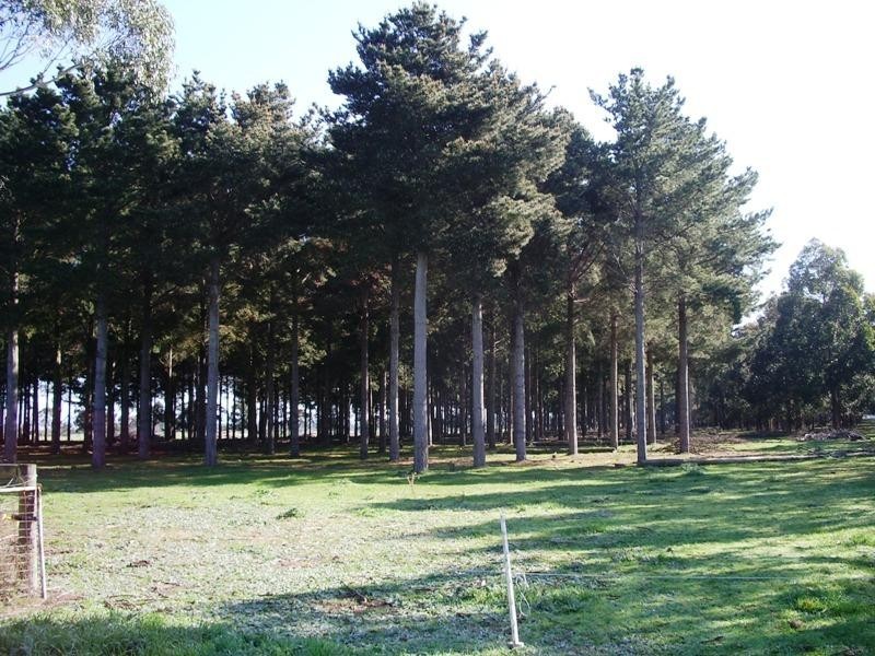 Cnr Sharefarm Road, Clydebank VIC 3851