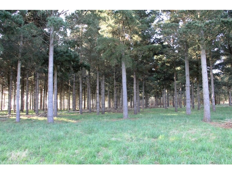 Cnr Sharefarm Road, Clydebank VIC 3851