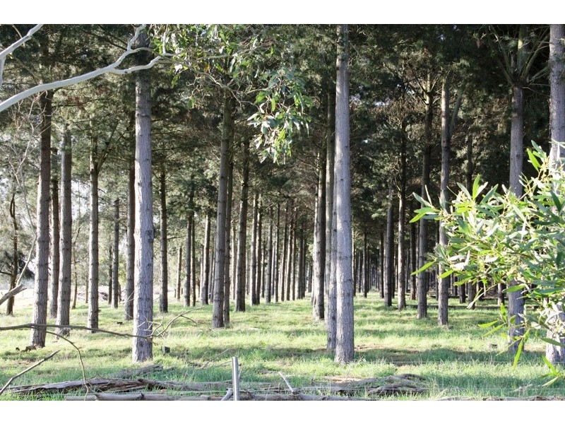 Cnr Sharefarm Road, Clydebank VIC 3851