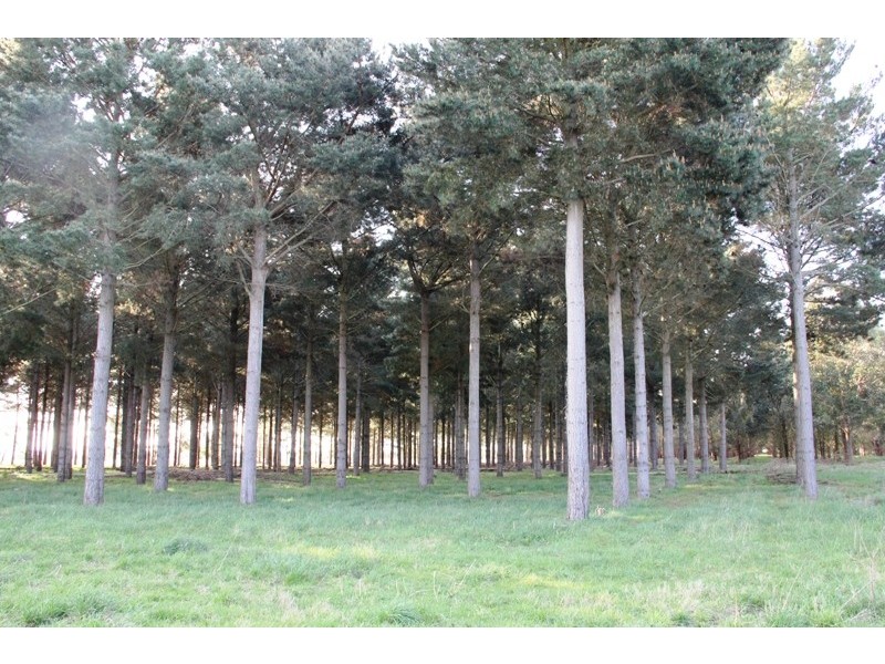 Cnr Sharefarm Road, Clydebank VIC 3851