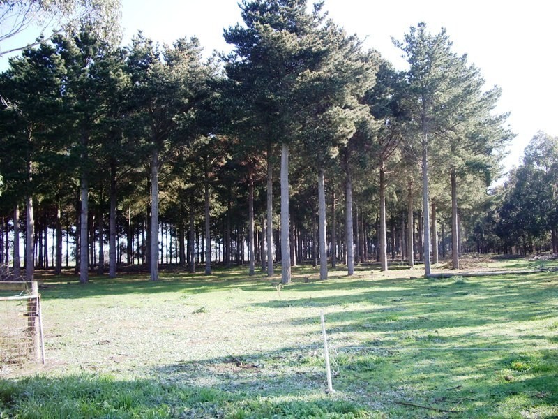 Cnr Sharefarm Road, Clydebank VIC 3851