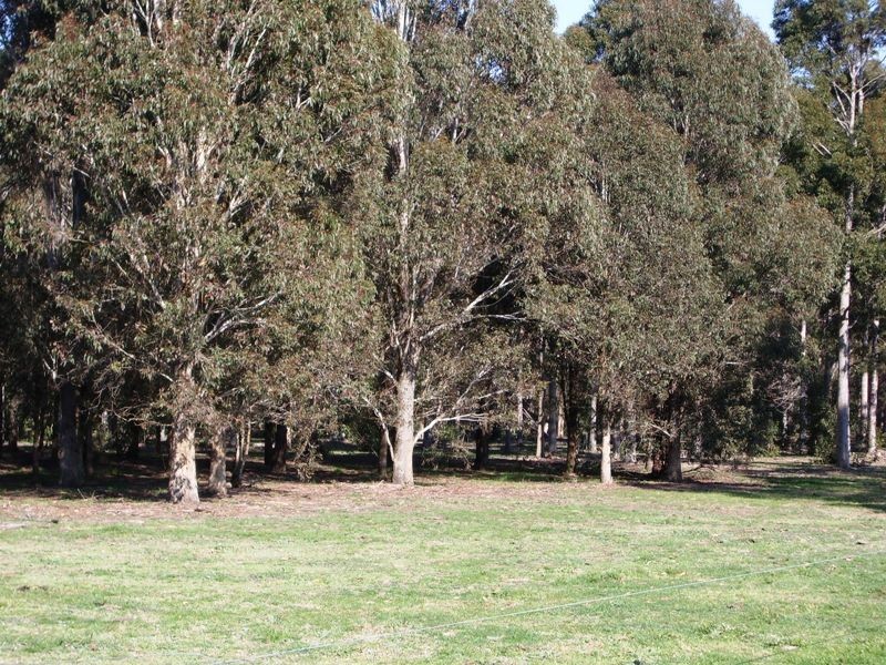 Cnr Sharefarm Road, Clydebank VIC 3851