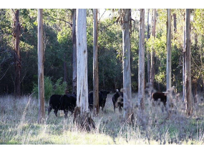 Cnr Sharefarm Road, Clydebank VIC 3851