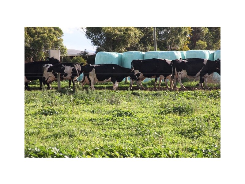 . Rosedale/Heyfield Road, Heyfield VIC 3858