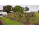 376 Tinamba Newry Road, Newry VIC 3859