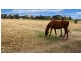 195 Nambrok Hall Road, Nambrok VIC 3847