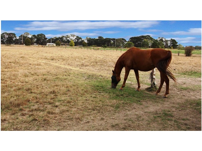 195 Nambrok Hall Road, Nambrok VIC 3847