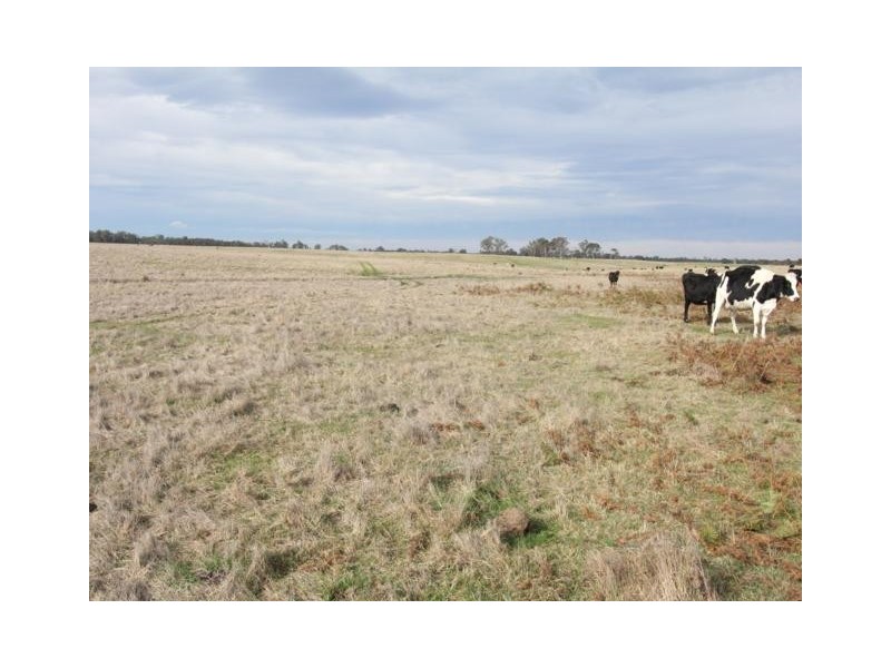 320 Glenadale, Fernbank VIC 3864