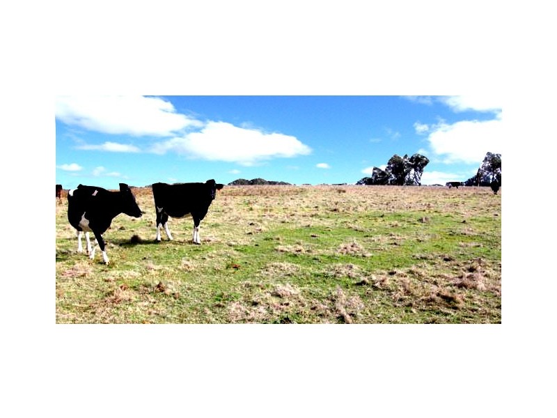 320 Glenadale, Fernbank VIC 3864