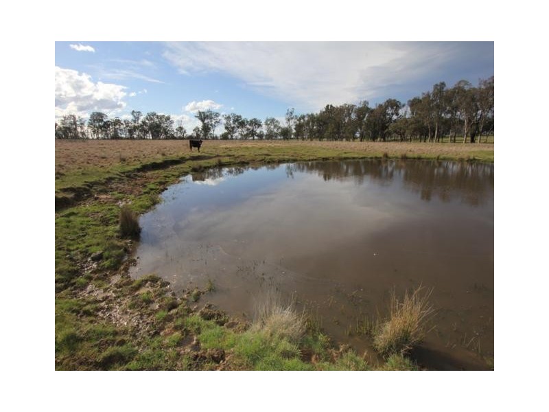 320 Glenadale, Fernbank VIC 3864