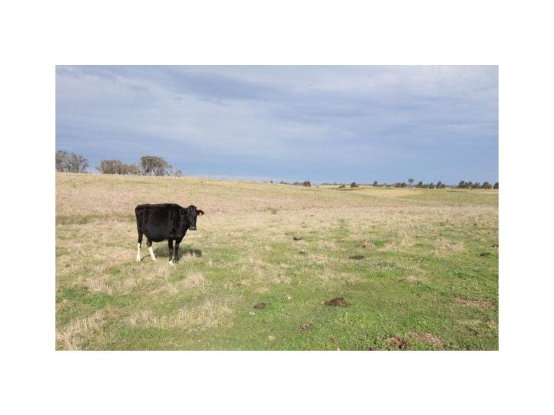 320 Glenadale, Fernbank VIC 3864