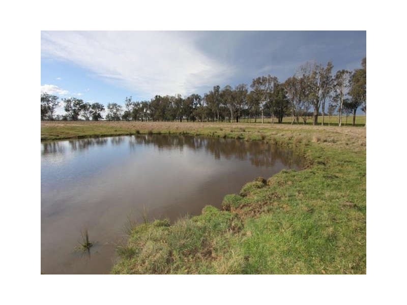 320 Glenadale, Fernbank VIC 3864