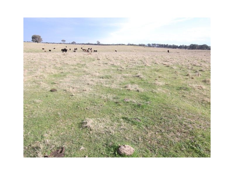 320 Glenadale, Fernbank VIC 3864