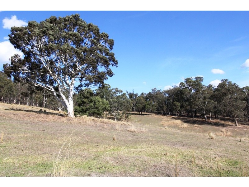 5345 Dargo Road, Cobbannah VIC 3862