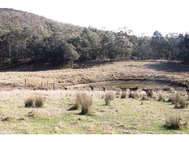 5345 Dargo Road, Cobbannah VIC 3862