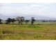 1 McKinnons Road, Tinamba VIC 3859