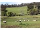 39 McAlpine Road, Carrajung VIC 3844