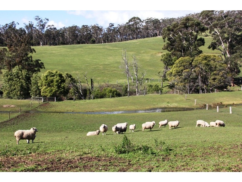 39 McAlpine Road, Carrajung VIC 3844