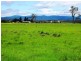 87 Victoria Street, Briagolong VIC 3860