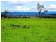 87 Victoria Street, Briagolong VIC 3860