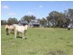 45 Garretts Lane, Briagolong VIC 3860