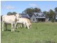 45 Garretts Lane, Briagolong VIC 3860