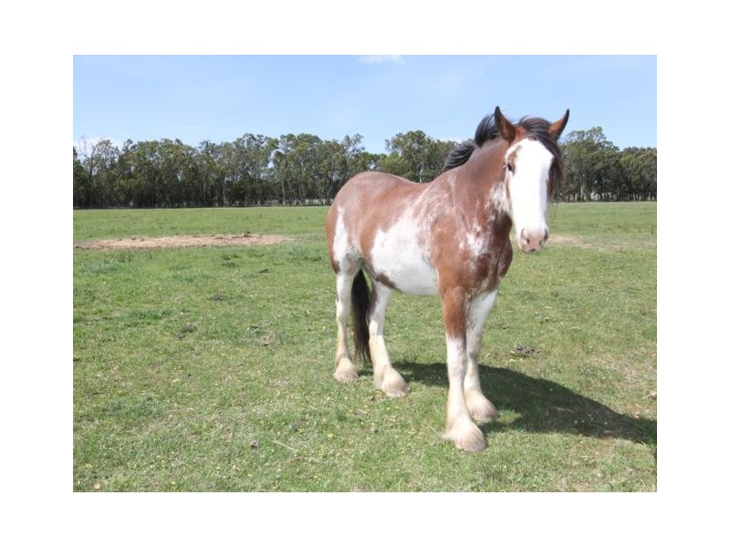 45 Garretts Lane, Briagolong VIC 3860