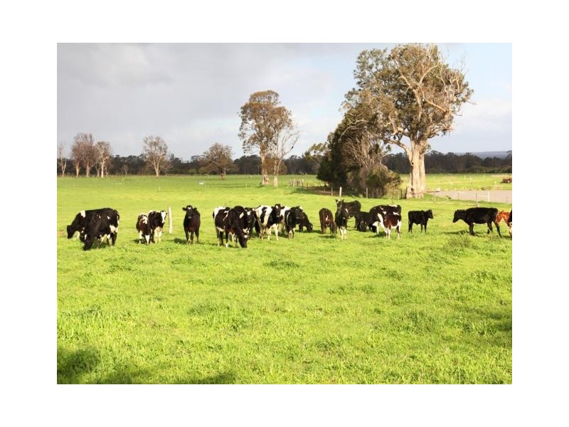 419A Freshwater Road, Kilmany VIC 3851