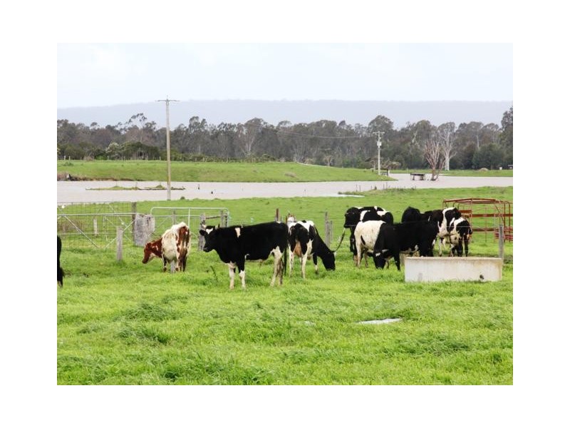 419A Freshwater Road, Kilmany VIC 3851