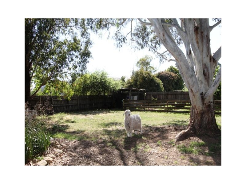 41 Cahill Street, Briagolong VIC 3860