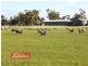 803 Hawkins Road, Longford VIC 3851