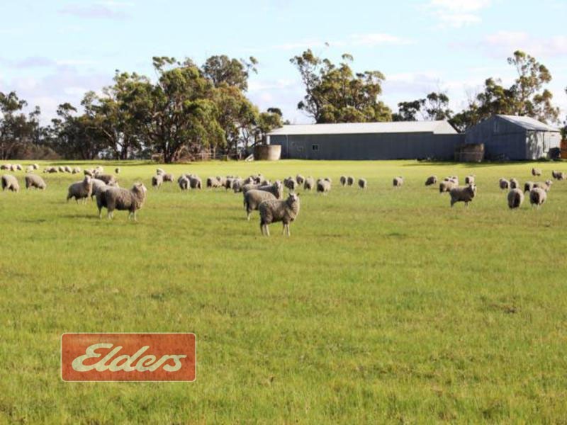 803 Hawkins Road, Longford VIC 3851