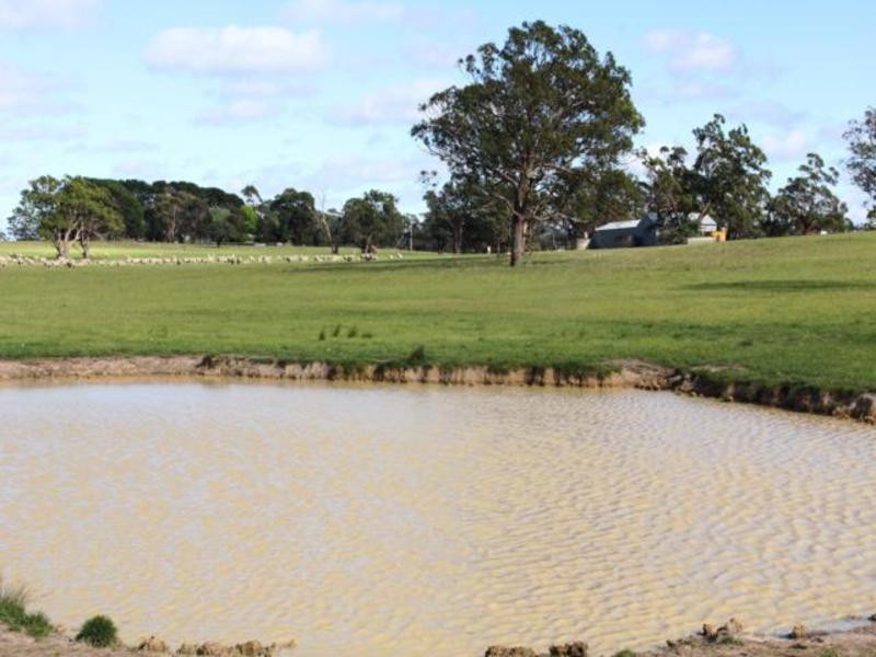 803 Hawkins Road, Longford VIC 3851