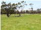 803 Hawkins Road, Longford VIC 3851