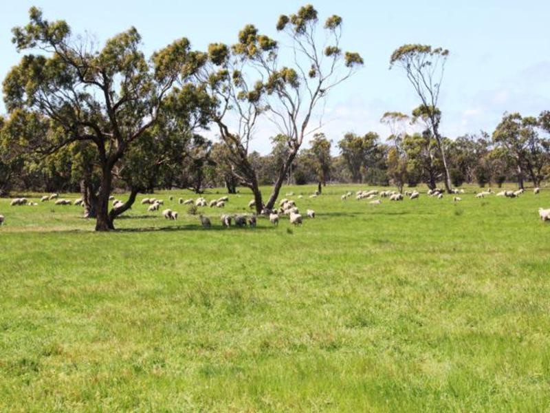 803 Hawkins Road, Longford VIC 3851