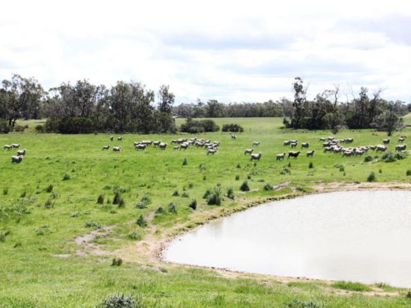 803 Hawkins Road, Longford VIC 3851